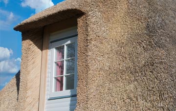 Washpit thatch roof disadvantages